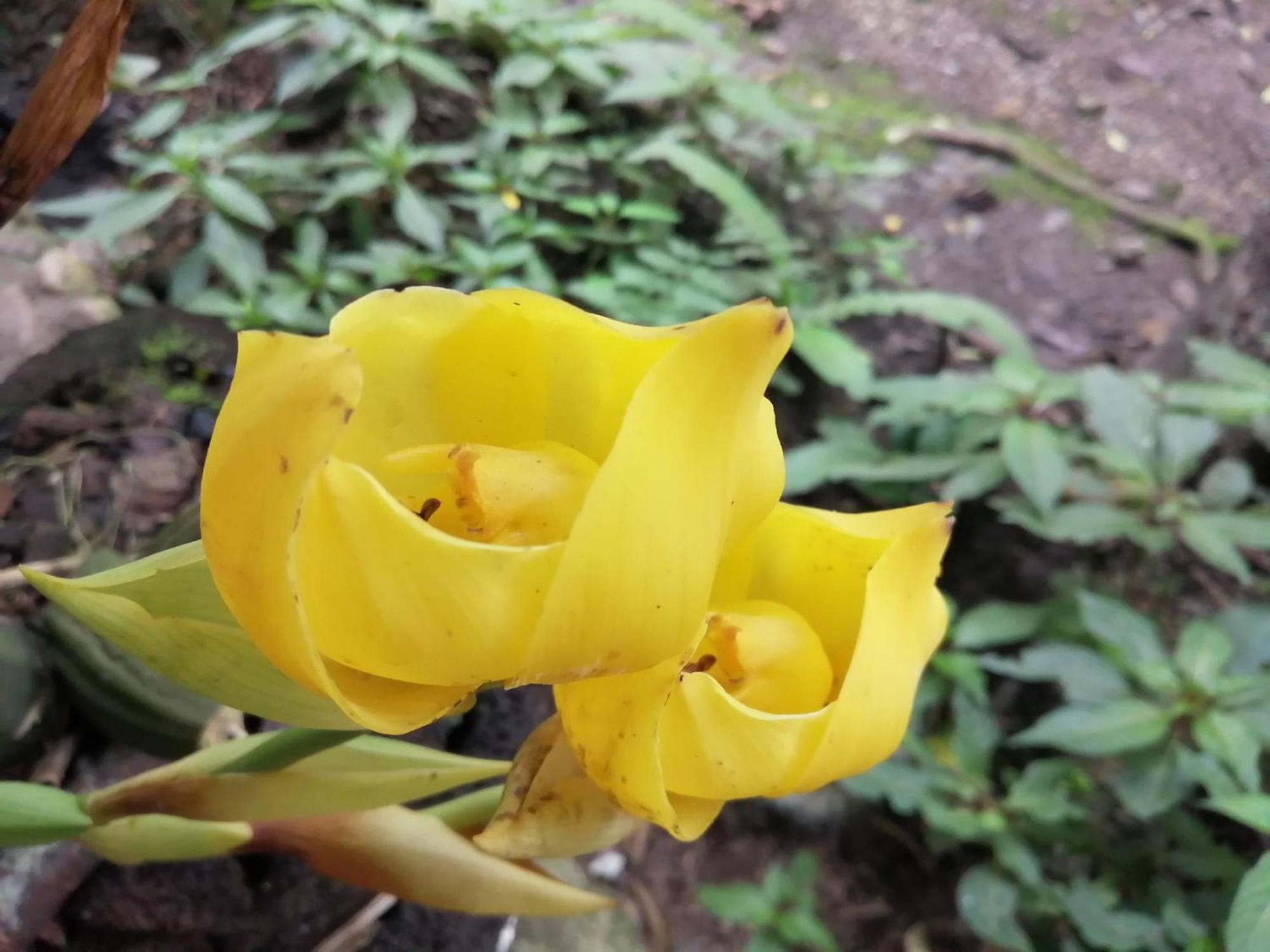 オクサパンパ Refugio De Orquideasヴィラ エクステリア 写真