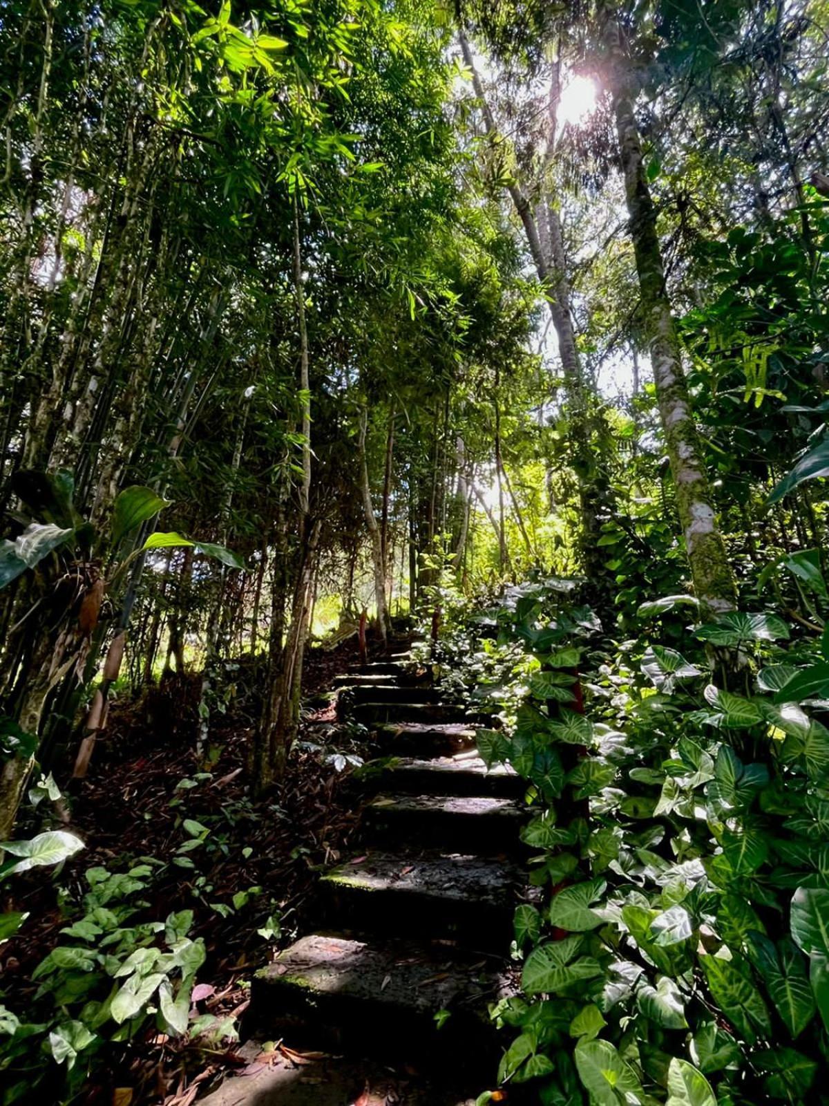 オクサパンパ Refugio De Orquideasヴィラ エクステリア 写真