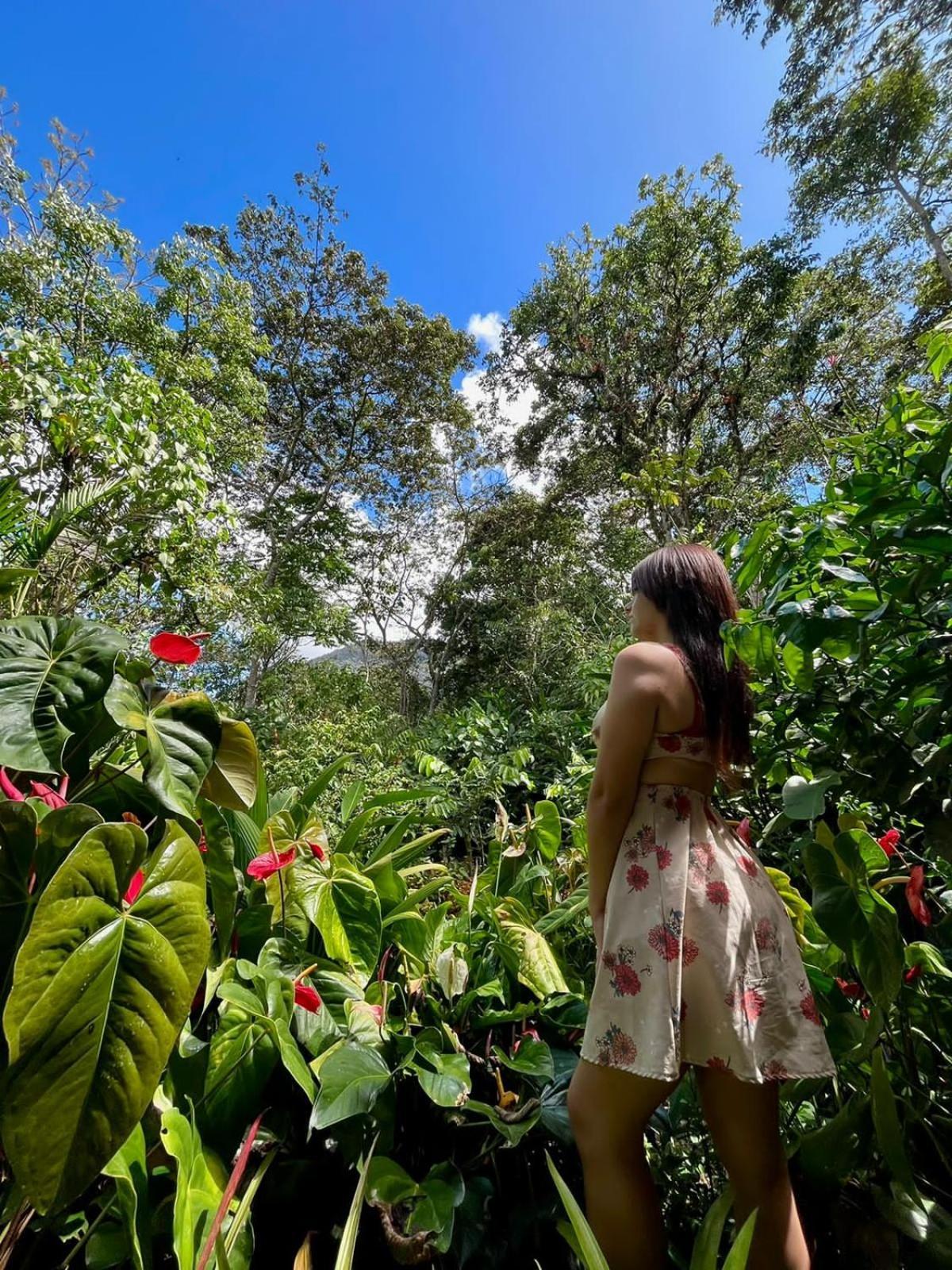 オクサパンパ Refugio De Orquideasヴィラ エクステリア 写真