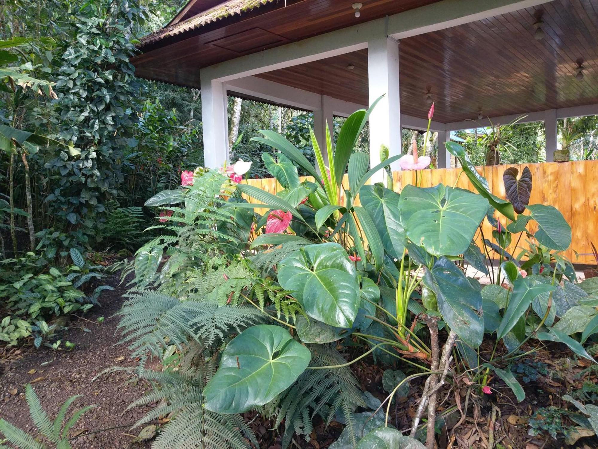 オクサパンパ Refugio De Orquideasヴィラ エクステリア 写真