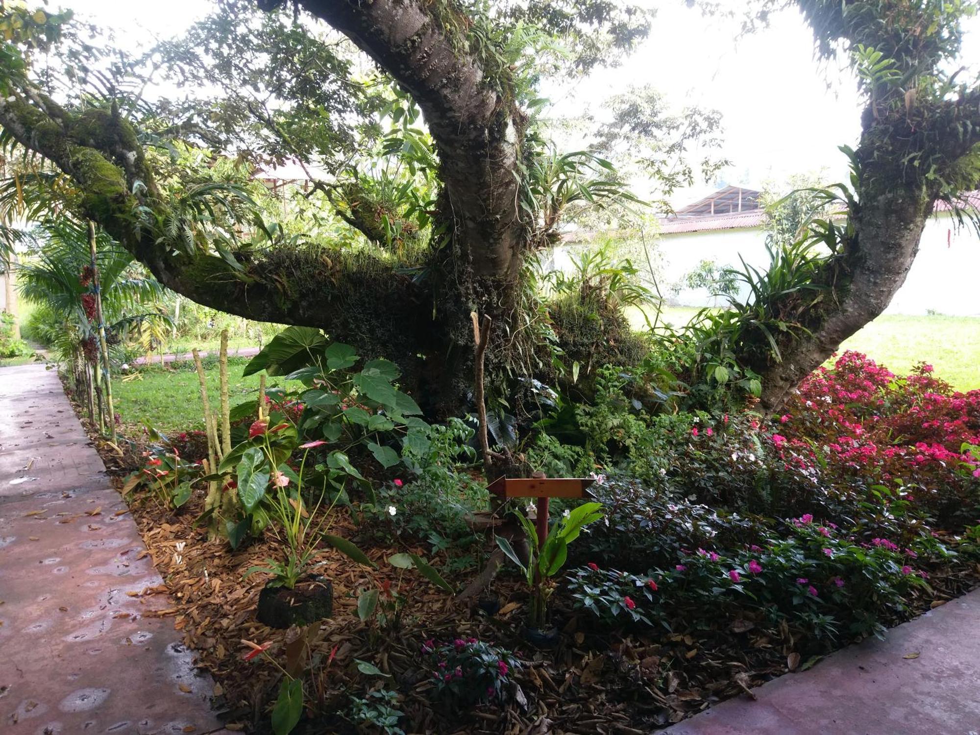 オクサパンパ Refugio De Orquideasヴィラ エクステリア 写真