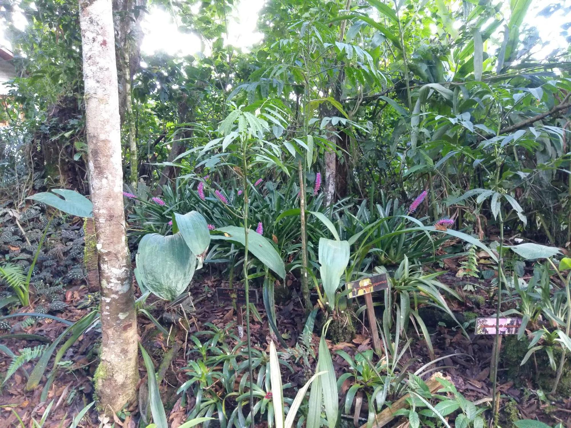 オクサパンパ Refugio De Orquideasヴィラ エクステリア 写真