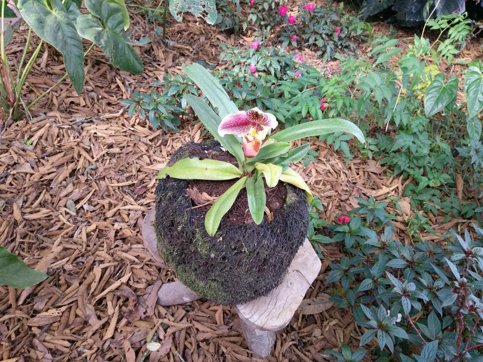オクサパンパ Refugio De Orquideasヴィラ エクステリア 写真