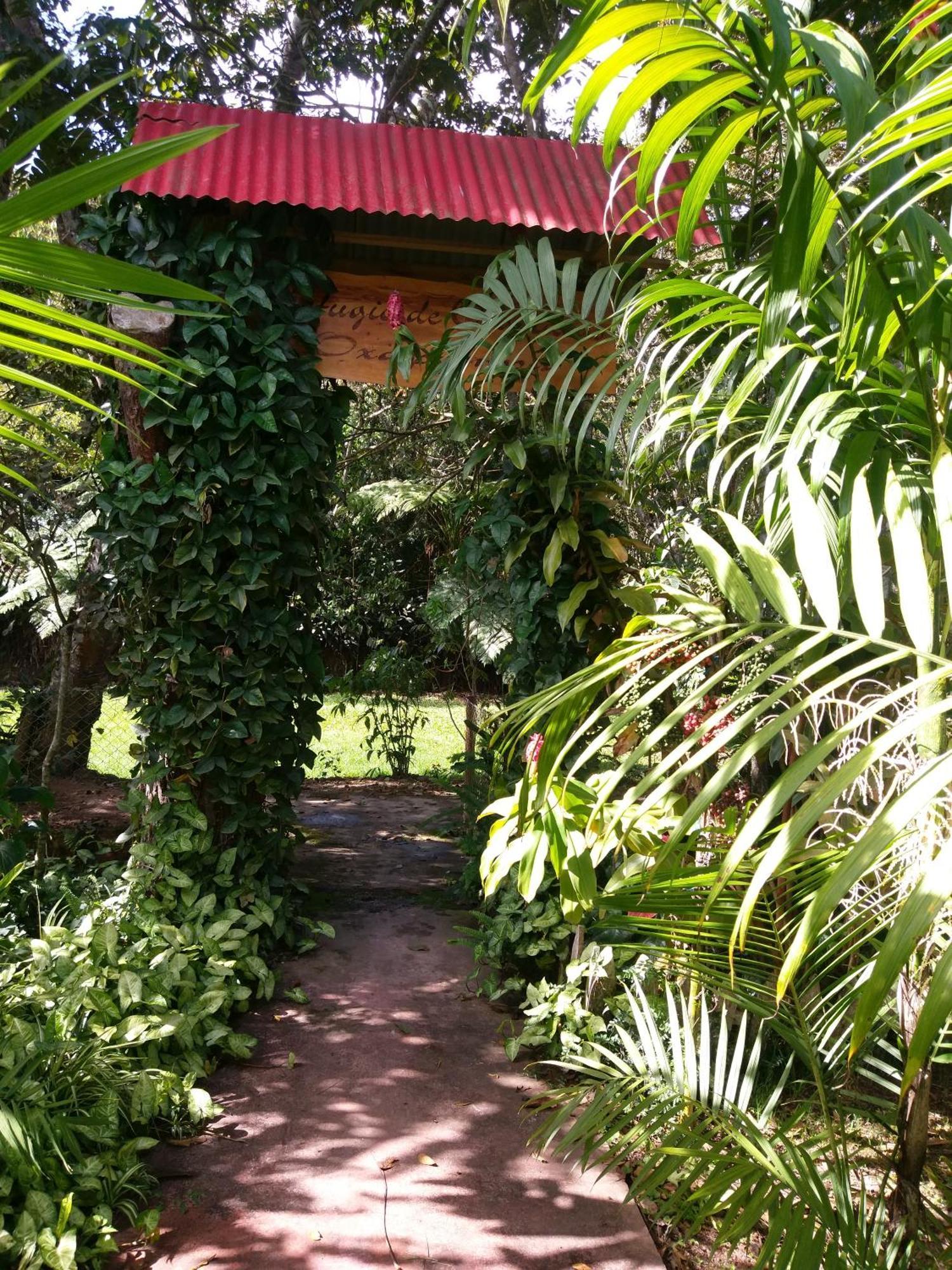 オクサパンパ Refugio De Orquideasヴィラ エクステリア 写真