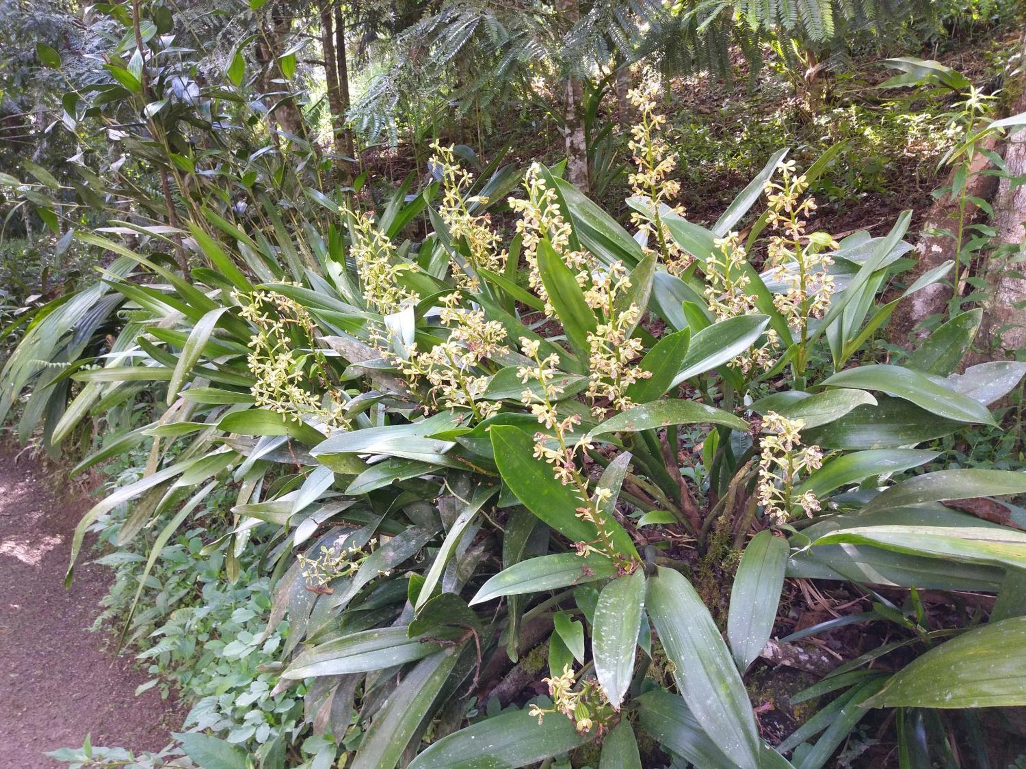 オクサパンパ Refugio De Orquideasヴィラ エクステリア 写真