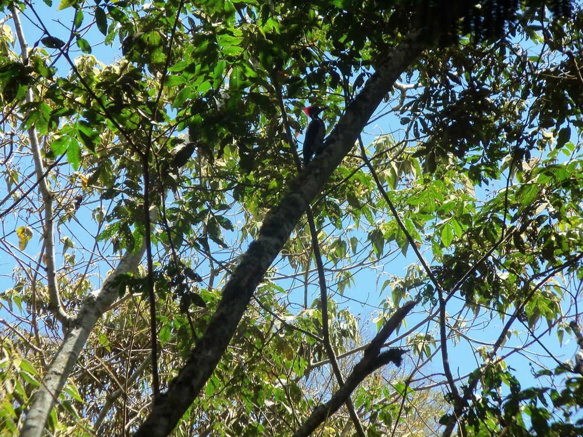 オクサパンパ Refugio De Orquideasヴィラ エクステリア 写真